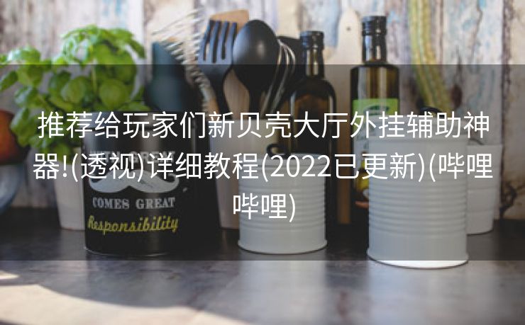 推荐给玩家们新贝壳大厅外挂辅助神器!(透视)详细教程(2022已更新)(哔哩哔哩)