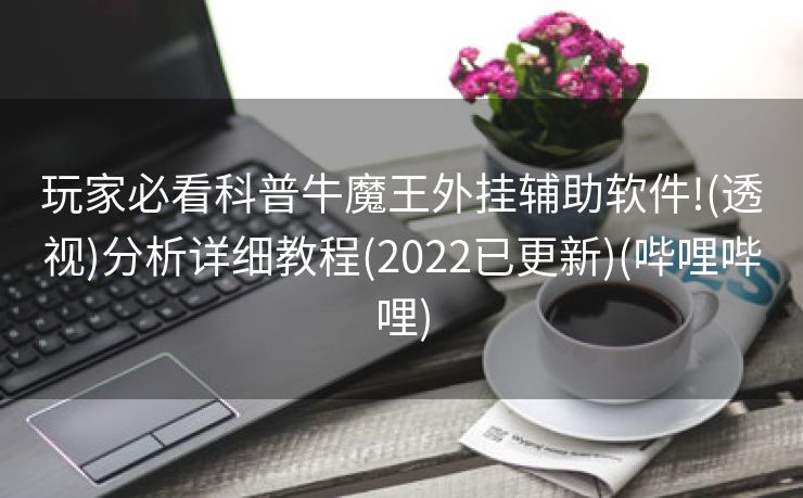 玩家必看科普牛魔王外挂辅助软件!(透视)分析详细教程(2022已更新)(哔哩哔哩)