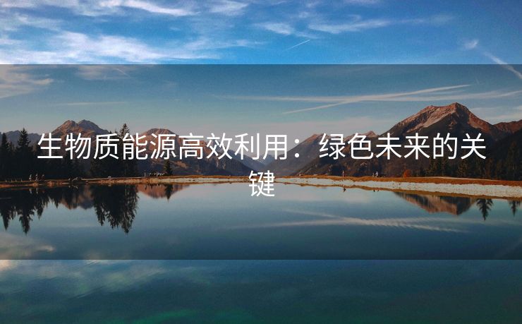 生物质能源高效利用：绿色未来的关键