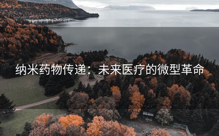 纳米药物传递：未来医疗的微型革命