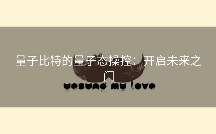 量子比特的量子态操控：开启未来之门