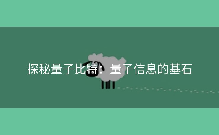 探秘量子比特：量子信息的基石