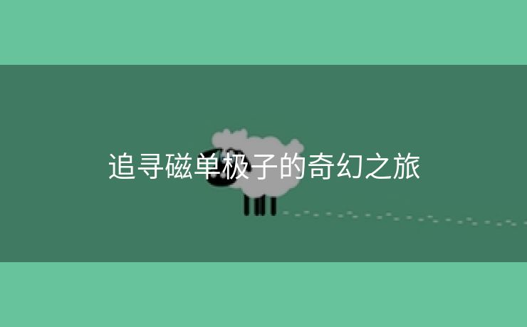 追寻磁单极子的奇幻之旅
