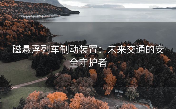磁悬浮列车制动装置：未来交通的安全守护者