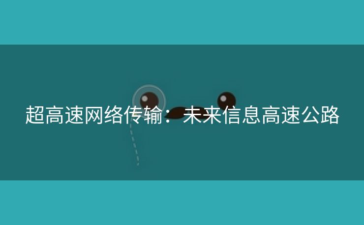 超高速网络传输：未来信息高速公路