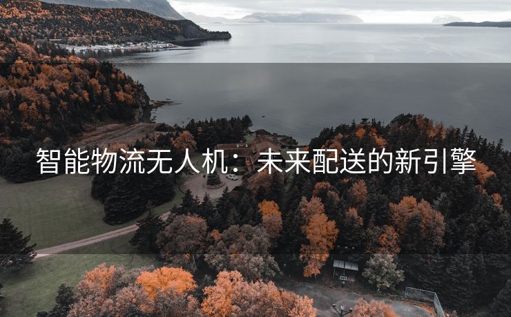 智能物流无人机：未来配送的新引擎