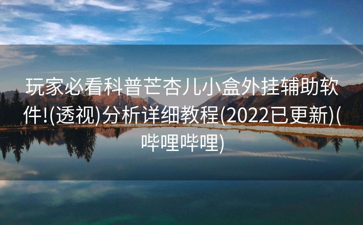 玩家必看科普芒杏儿小盒外挂辅助软件!(透视)分析详细教程(2022已更新)(哔哩哔哩)
