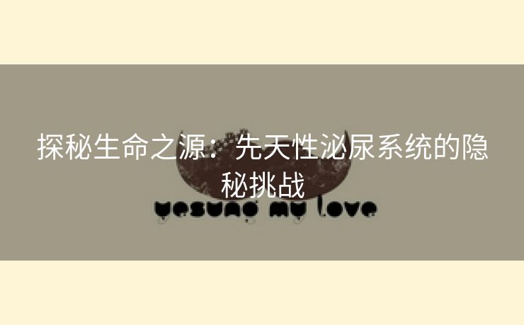 探秘生命之源：先天性泌尿系统的隐秘挑战
