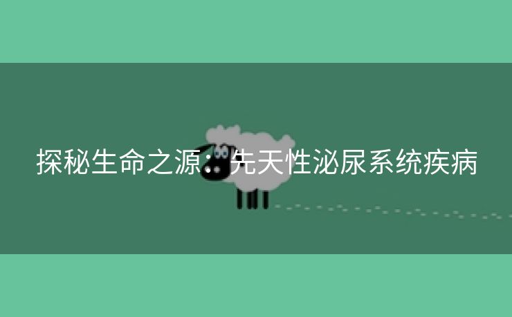探秘生命之源：先天性泌尿系统疾病