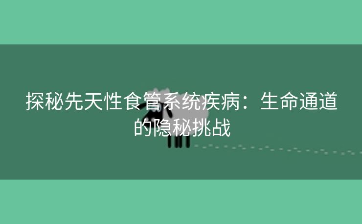 探秘先天性食管系统疾病：生命通道的隐秘挑战