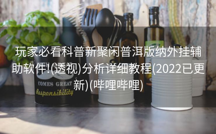 玩家必看科普新聚闲普洱版纳外挂辅助软件!(透视)分析详细教程(2022已更新)(哔哩哔哩)