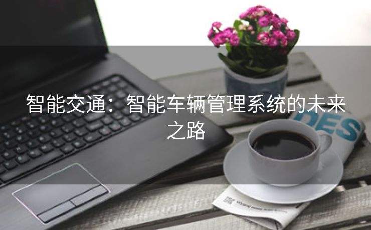 智能交通：智能车辆管理系统的未来之路