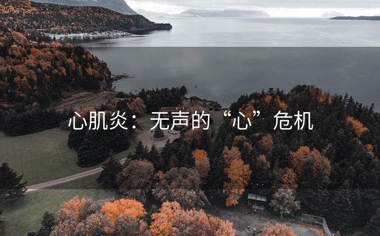 心肌炎：无声的“心”危机