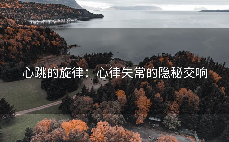 心跳的旋律：心律失常的隐秘交响