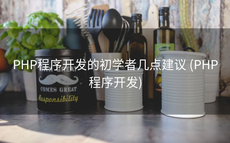 PHP程序开发的初学者几点建议 (PHP程序开发)
