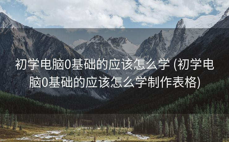 初学电脑0基础的应该怎么学 (初学电脑0基础的应该怎么学制作表格)