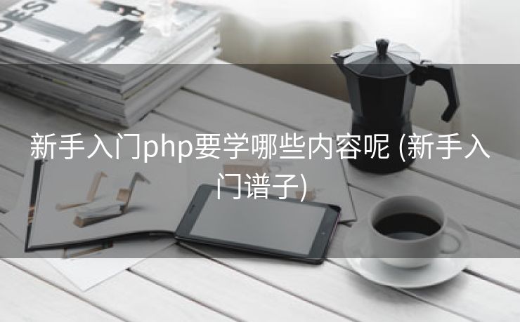 新手入门php要学哪些内容呢 (新手入门谱子)
