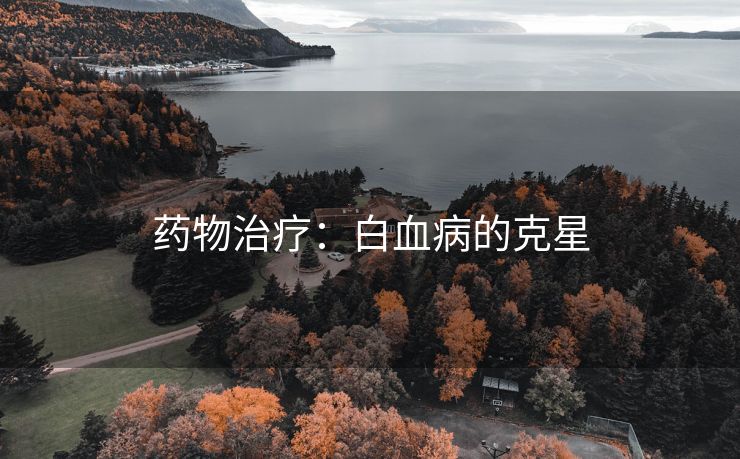 药物治疗：白血病的克星