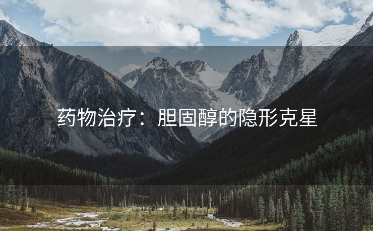 药物治疗：胆固醇的隐形克星