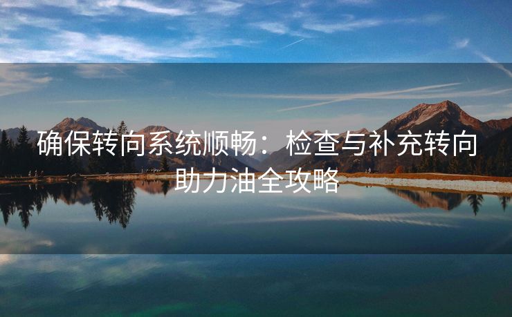 确保转向系统顺畅：检查与补充转向助力油全攻略