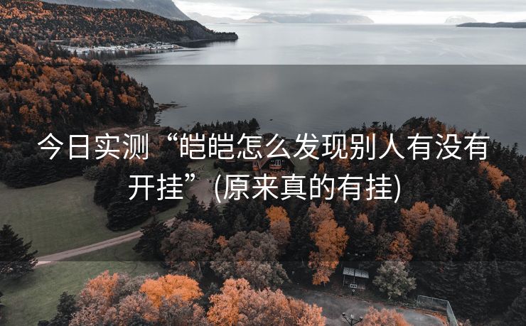 今日实测“皑皑怎么发现别人有没有开挂”(原来真的有挂)