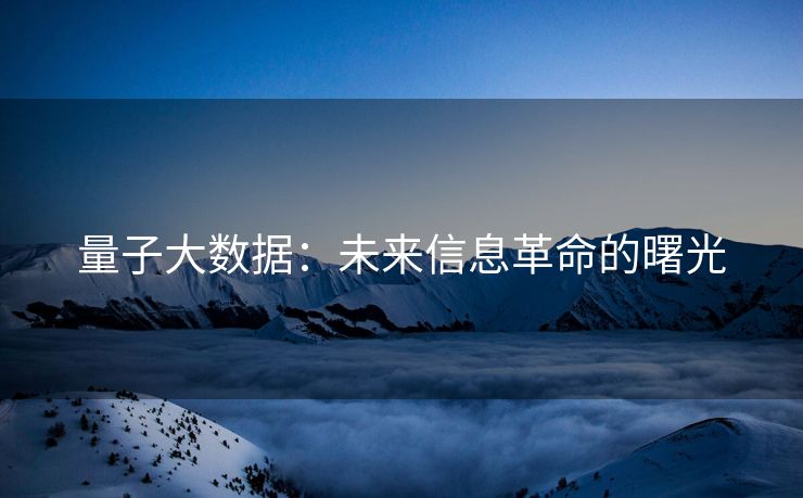 量子大数据：未来信息革命的曙光