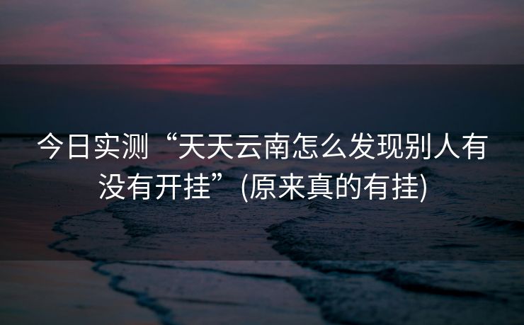 今日实测“天天云南怎么发现别人有没有开挂”(原来真的有挂)