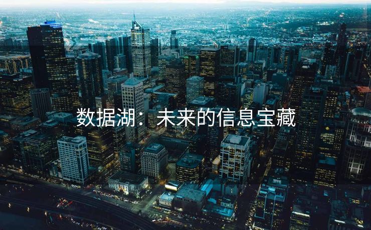 数据湖：未来的信息宝藏
