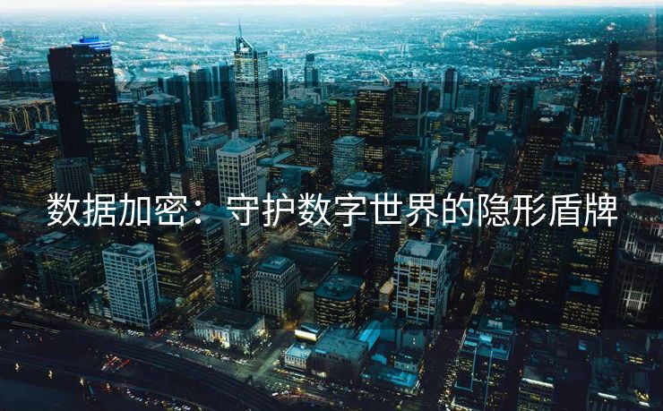 数据加密：守护数字世界的隐形盾牌