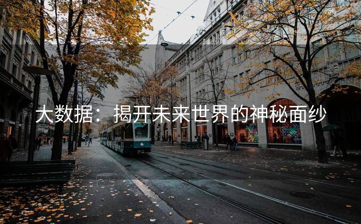 大数据：揭开未来世界的神秘面纱