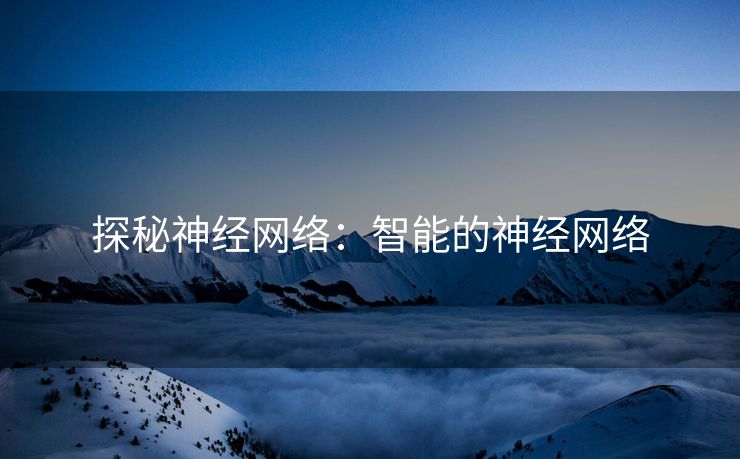 探秘神经网络：智能的神经网络