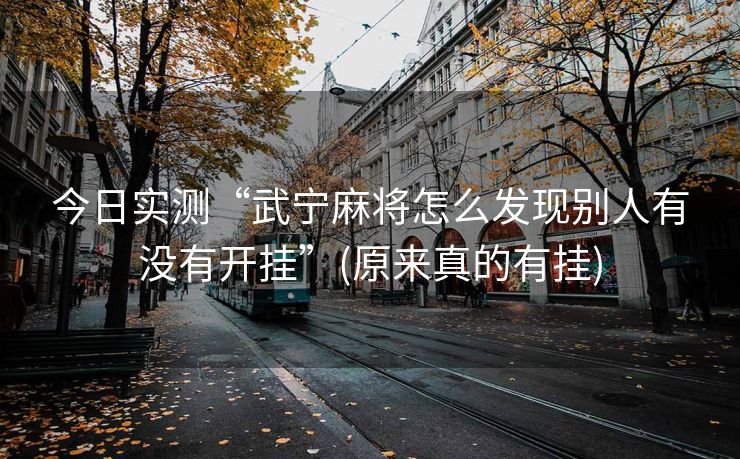今日实测“武宁麻将怎么发现别人有没有开挂”(原来真的有挂)
