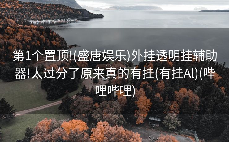 第1个置顶!(盛唐娱乐)外挂透明挂辅助器!太过分了原来真的有挂(有挂Al)(哔哩哔哩)