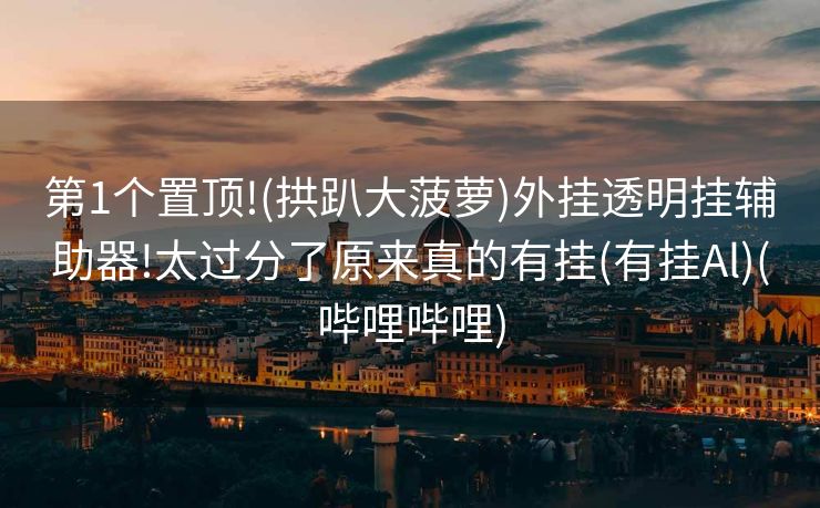 第1个置顶!(拱趴大菠萝)外挂透明挂辅助器!太过分了原来真的有挂(有挂Al)(哔哩哔哩)