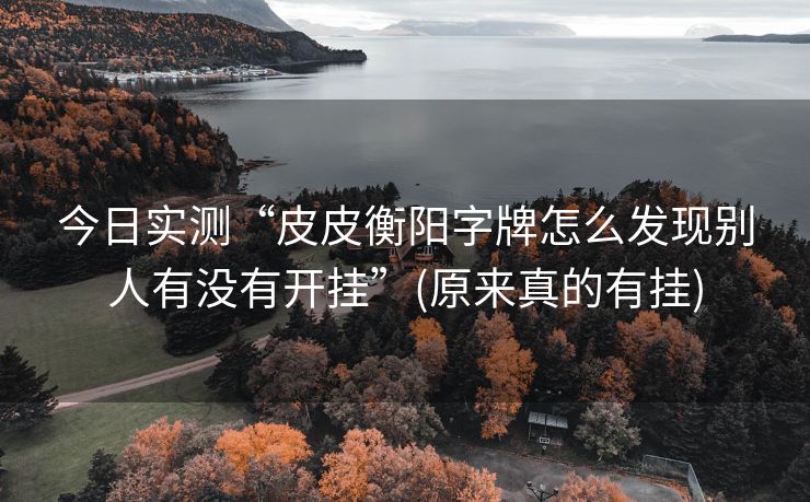 今日实测“皮皮衡阳字牌怎么发现别人有没有开挂”(原来真的有挂)