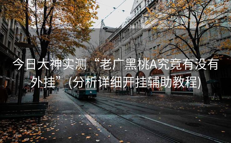 今日大神实测“老广黑桃A究竟有没有外挂”(分析详细开挂辅助教程)