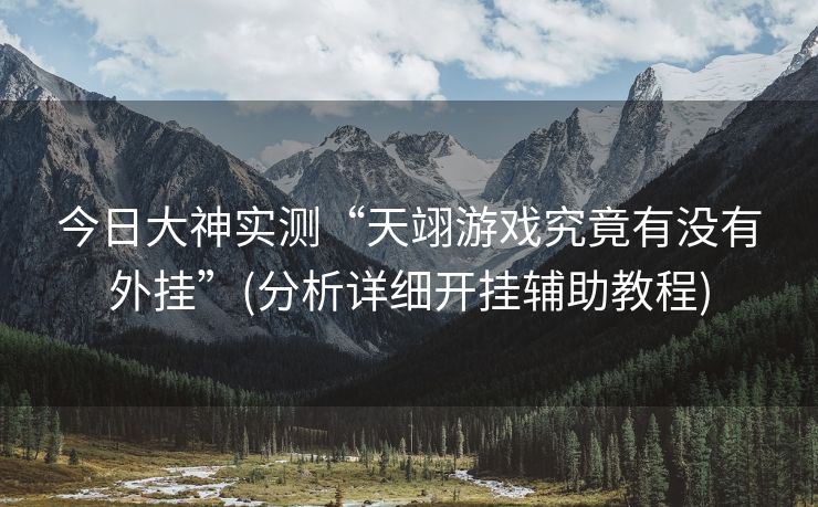 今日大神实测“天翊游戏究竟有没有外挂”(分析详细开挂辅助教程)