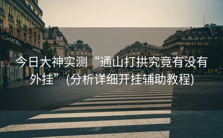 今日大神实测“通山打拱究竟有没有外挂”(分析详细开挂辅助教程)