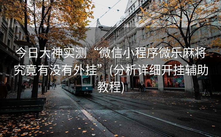 今日大神实测“微信小程序微乐麻将究竟有没有外挂”(分析详细开挂辅助教程)