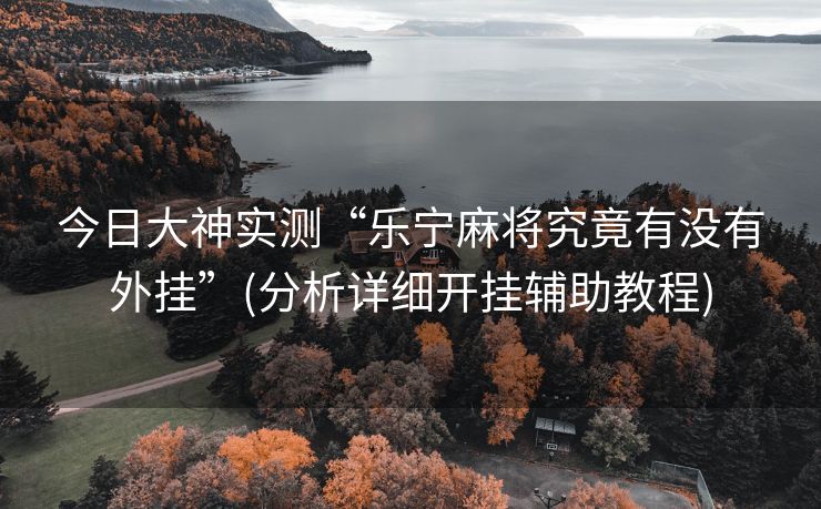 今日大神实测“乐宁麻将究竟有没有外挂”(分析详细开挂辅助教程)