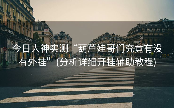 今日大神实测“葫芦娃哥们究竟有没有外挂”(分析详细开挂辅助教程)