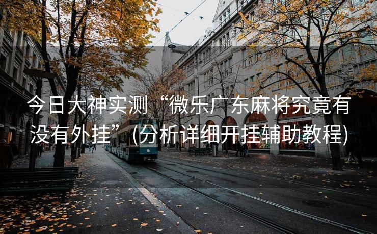今日大神实测“微乐广东麻将究竟有没有外挂”(分析详细开挂辅助教程)
